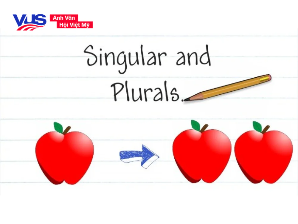 Danh từ số ít và số nhiều