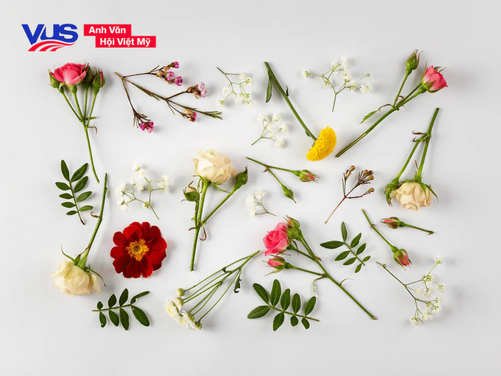 160+ tên các loài hoa tiếng Anh và từ vựng liên quan nên biết