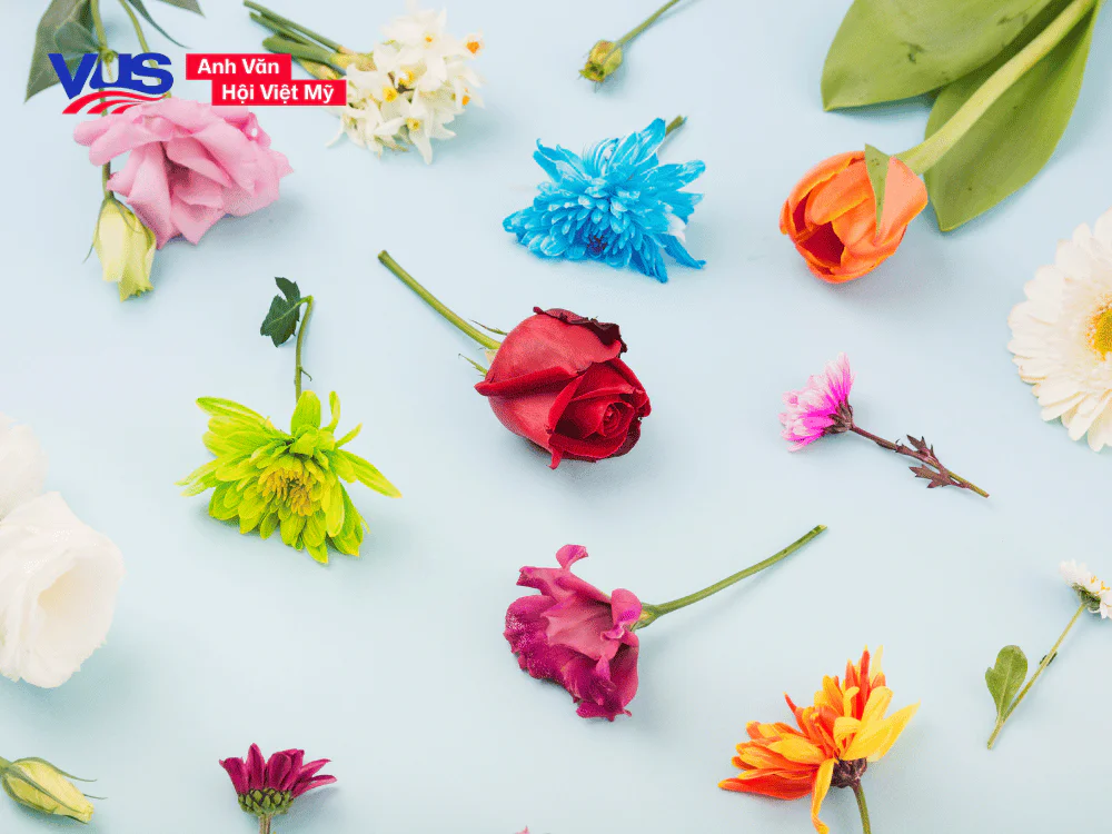 160+ tên các loài tiếng Anh kèm từ vựng về: Tên gọi – Cấu tạo – Hương sắc