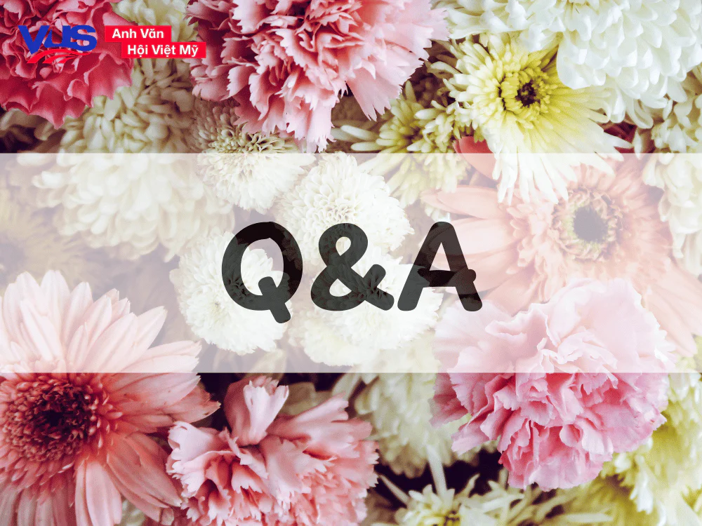 Các câu hỏi thường gặp về tên các loài hoa tiếng Anh 