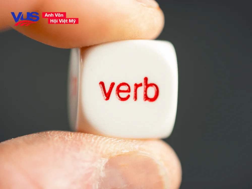 Cách chia động từ khi trong câu có lượng từ tiếng Anh