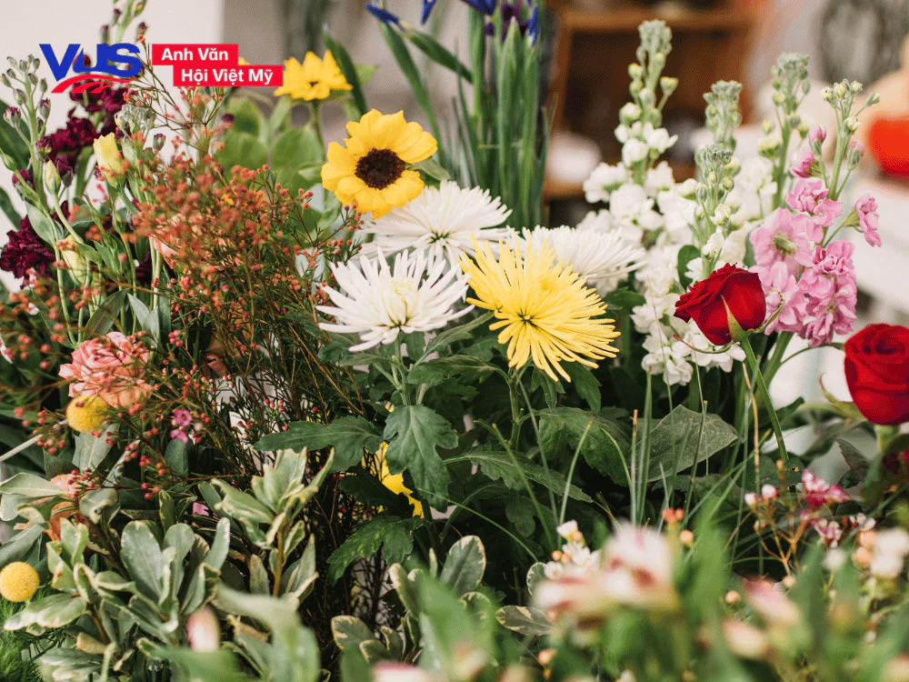 Hoa trong tiếng Anh là gì?