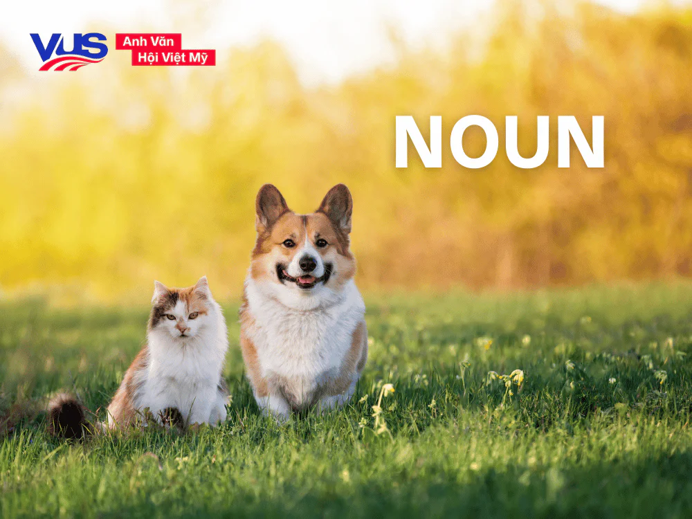 Từ loại trong tiếng Anh - Danh từ (Noun)