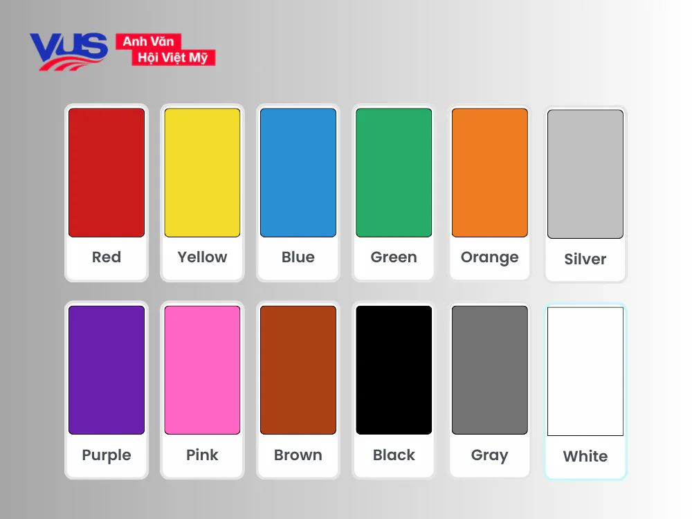 Từ vựng về 12 màu sắc tiếng Anh thông dụng