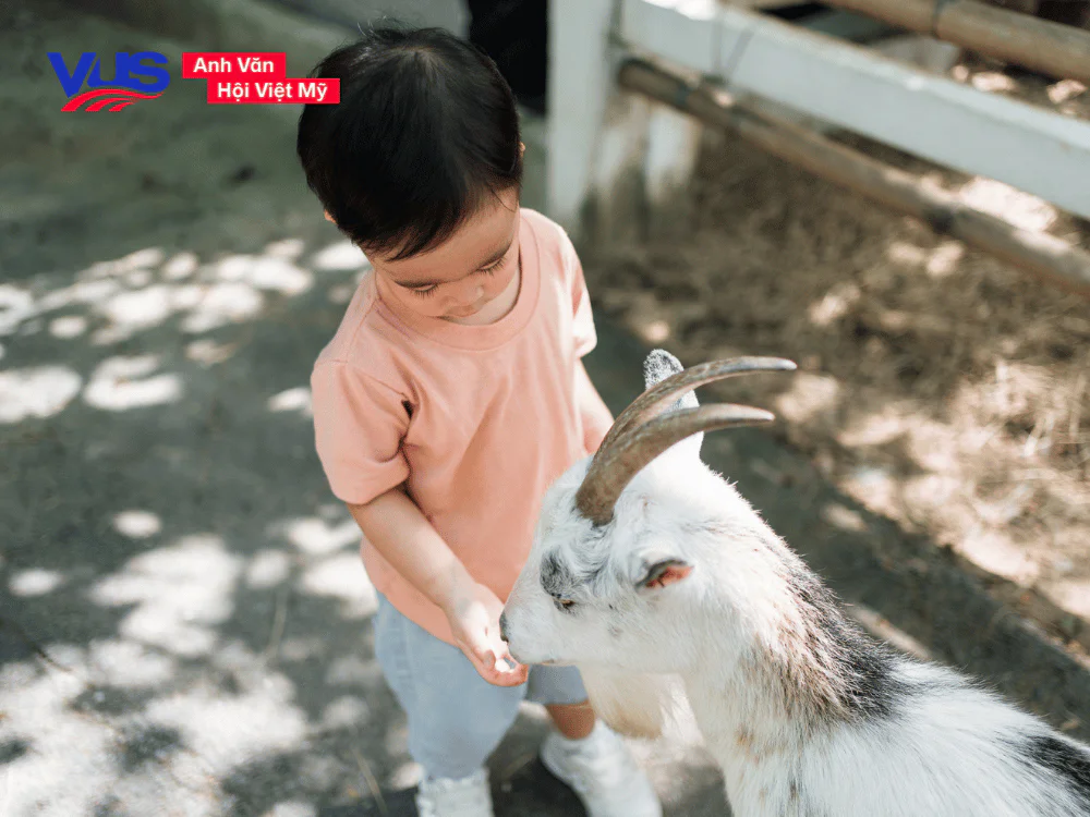 Cách học từ vựng về các con vật bằng tiếng Anh nhanh chóng