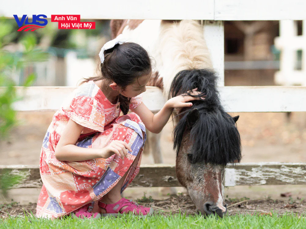 Cụm từ, thành ngữ nói về động vật trong tiếng Anh