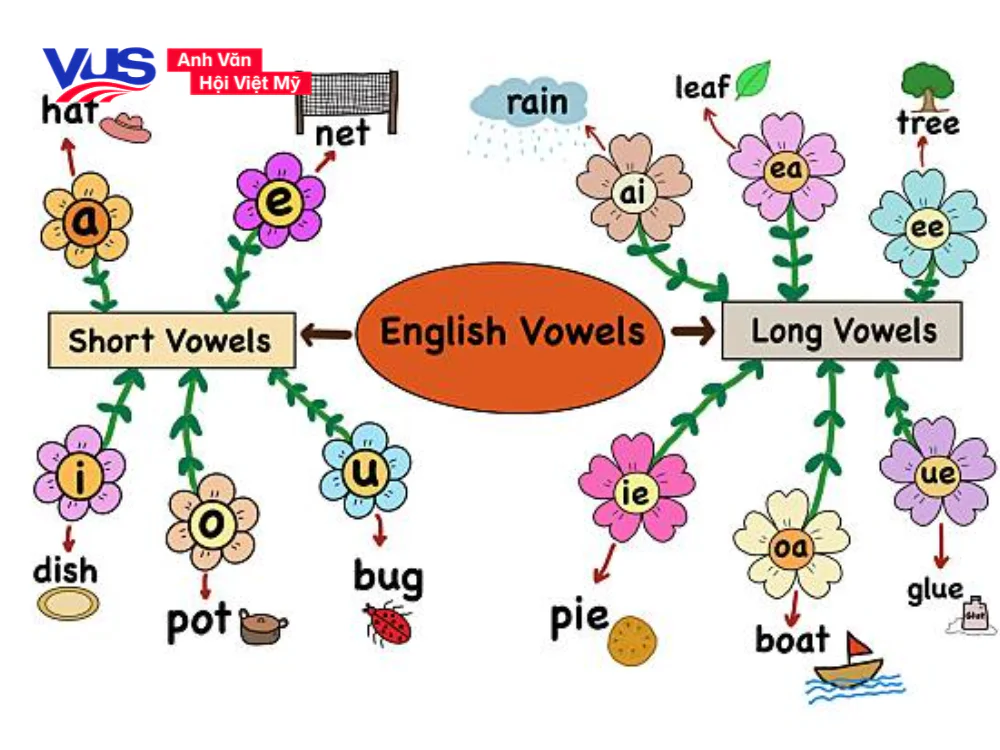 Phonics là gì? Short vowels và Long vowels trong tiếng Anh