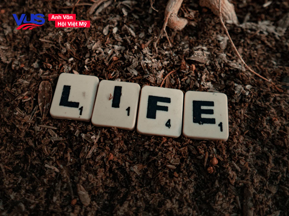 Tổng hợp những câu nói tiếng Anh hay về cuộc đời
