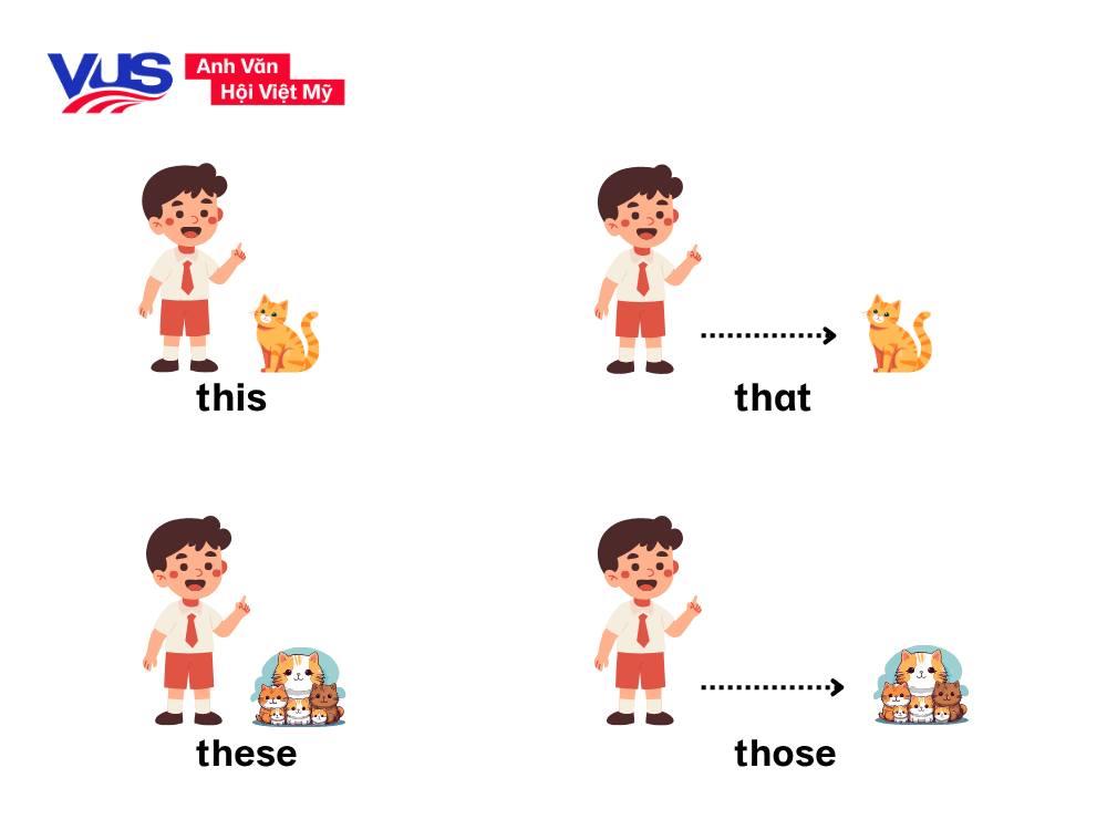 Các loại động từ chỉ định