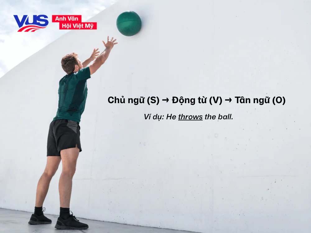 Ngoại động từ là gì?