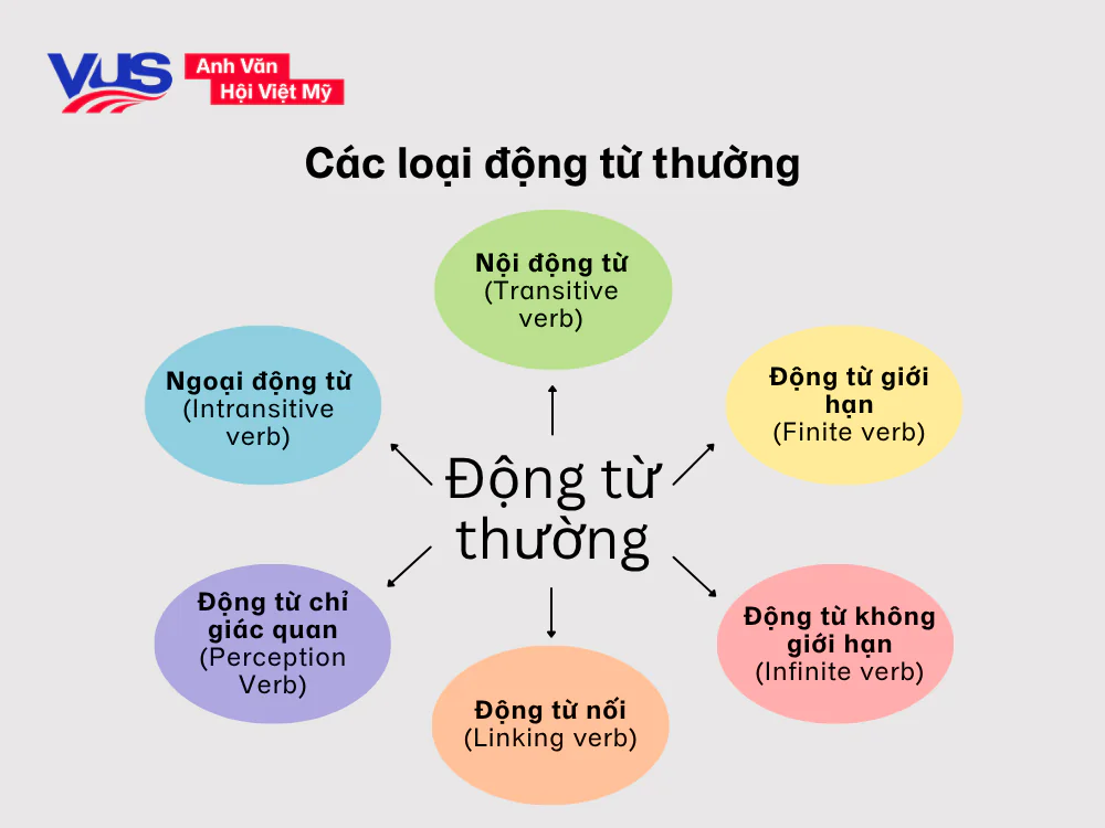 Phân loại các loại động từ thường