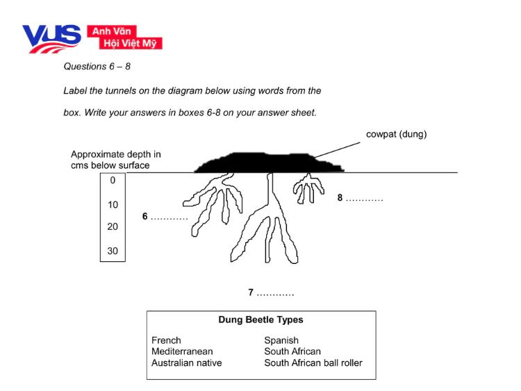 Tip làm bài Reading IELTS: Dạng bài Diagram Label Completion