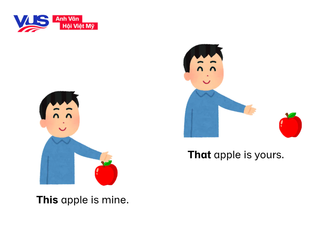 Ví dụ đại từ chỉ định trong câu