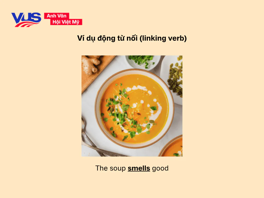 Ví dụ động từ nối trong tiếng Anh