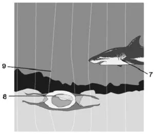 IELTS Reading Practice 1