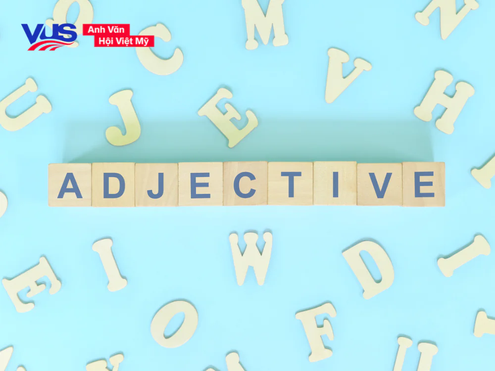 Cụm tính từ tiếng Anh: Chức năng và Vị trí