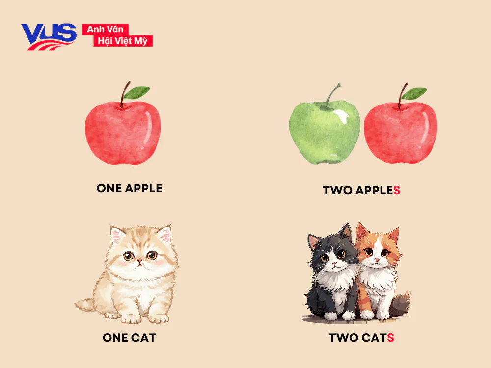 Cách nhận biết danh từ số ít và danh từ số nhiều