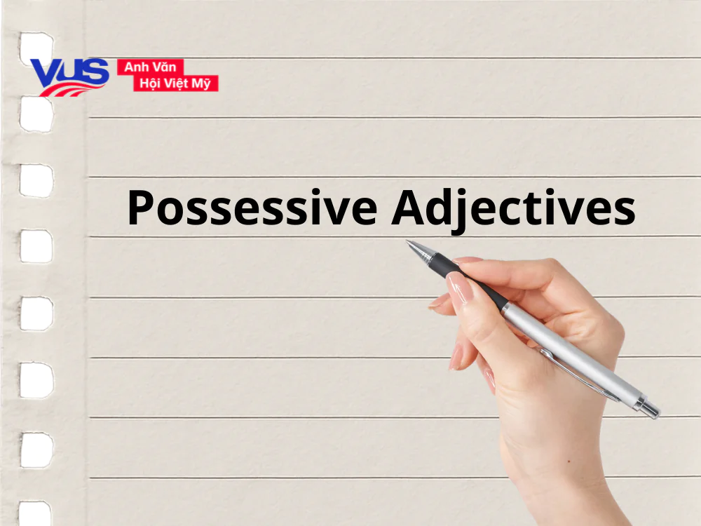 Tổng hợp các dạng bài tập về tính từ sở hữu lớp 6 thường gặp