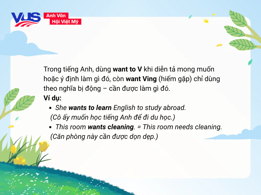 Want đi với to V hay Ving? Quy tắc và ngữ cảnh sử dụng