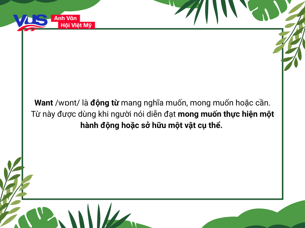 Want nghĩa là gì?