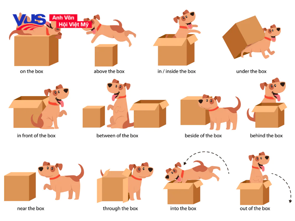 Preposition of Place là gì?