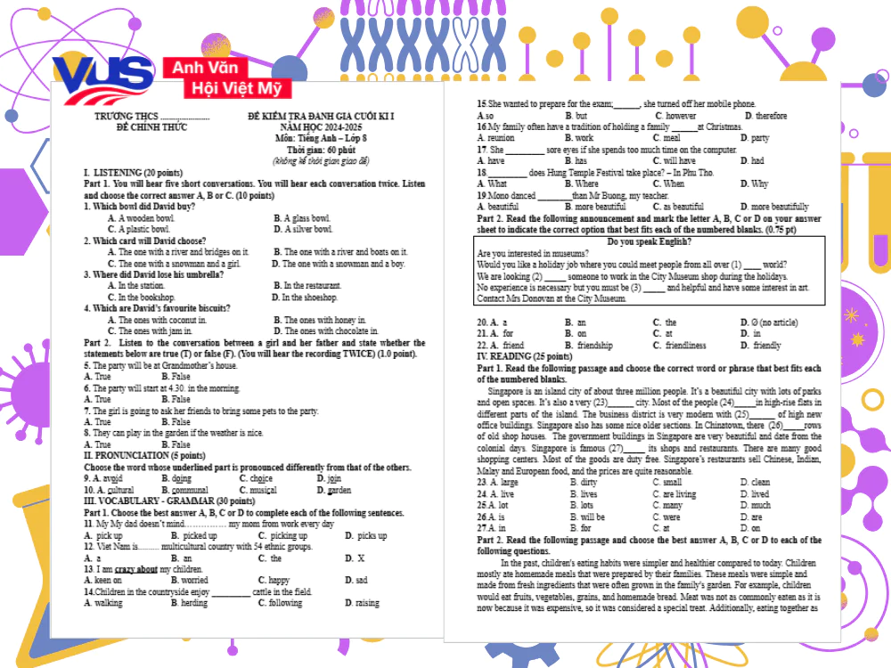 Luyện đề thi tiếng Anh giữa v&agrave; cuối k&igrave; 2 lớp 8 c&ugrave;ng VUS