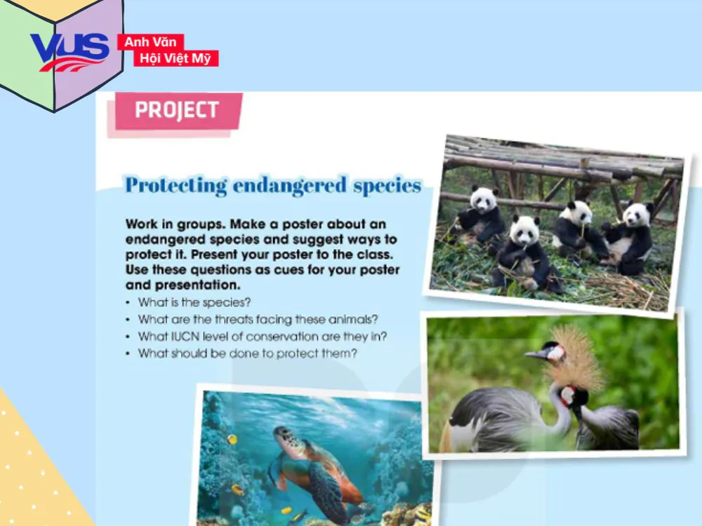 Soạn tiếng Anh Unit 8 - Project