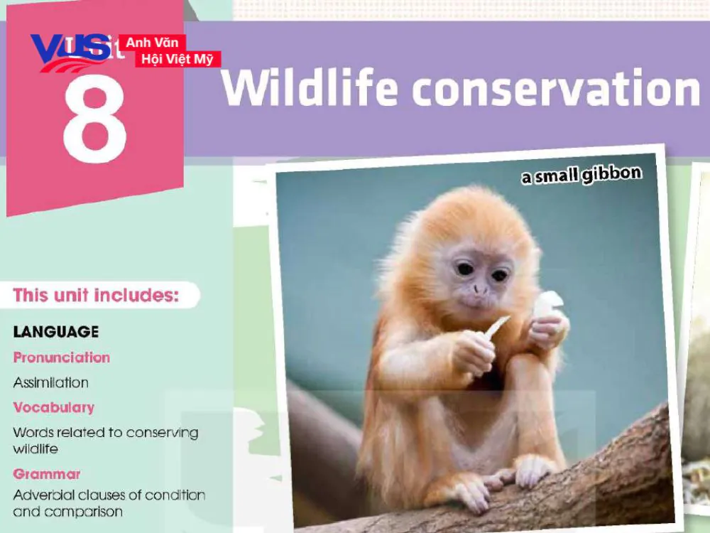 Tổng hợp từ vựng v&agrave; ngữ ph&aacute;p cốt l&otilde;i tiếng Anh 12 Unit 8