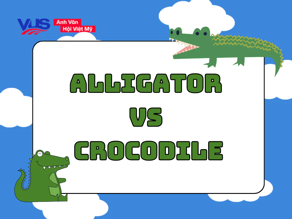 Alligator vs Crocodile: C&aacute; sấu tiếng Anh l&agrave; g&igrave;? C&aacute;ch ph&acirc;n biệt nhanh