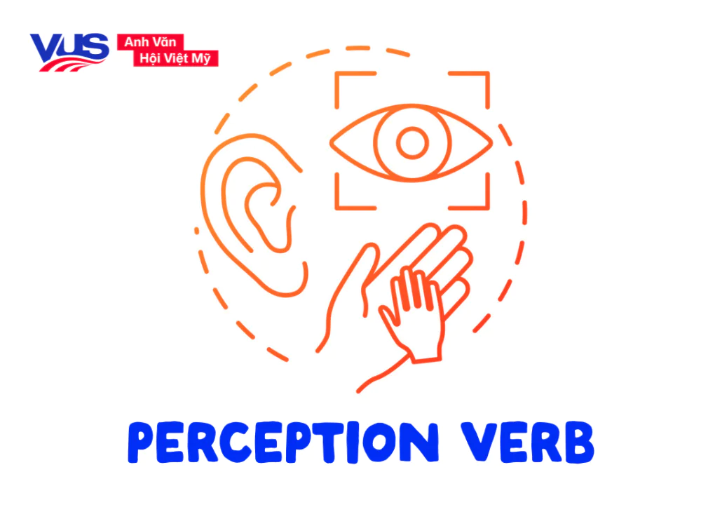 Động từ tri gi&aacute;c (Perception Verbs): Cấu tr&uacute;c v&agrave; c&aacute;ch sử dụng