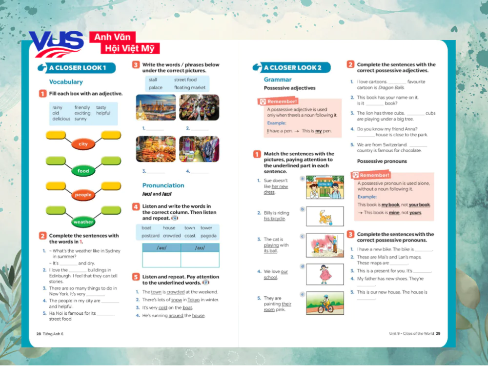 Tiếng Anh 6 Unit 9 Global Success A Closer Look 1 & 2