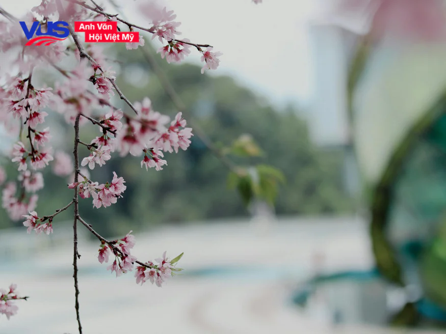 Giới thiệu về Đ&agrave; Lạt bằng tiếng Anh