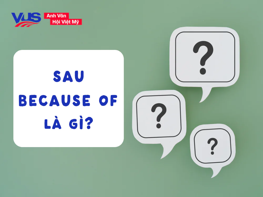 Sau because of l&agrave; g&igrave;?