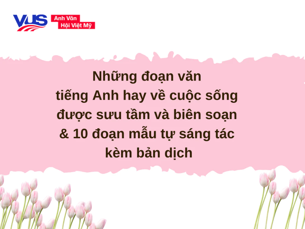 Những đoạn văn tiếng Anh hay về cuộc sống được sưu tầm v&agrave; s&aacute;ng t&aacute;c