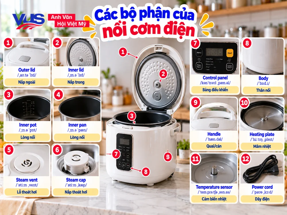 Cấu tạo v&agrave; t&ecirc;n gọi c&aacute;c bộ phận của nồi cơm điện bằng tiếng Anh (Rice Cooker Parts)
