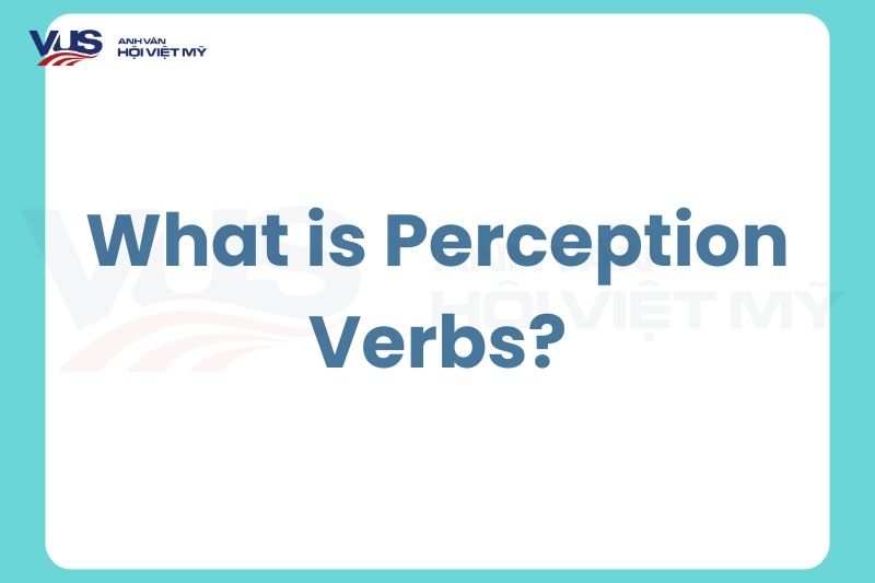 Các loại Perception Verbs